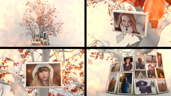 VideoHive Memory Tree Slideshow 16669180