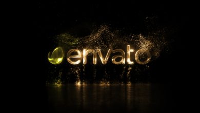 VideoHive Particle Logo 20001529