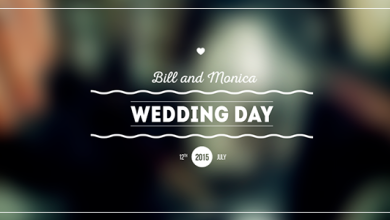 Videohive Wedding Titles Pack 11183712