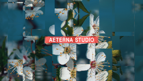 VideoHive 3D Stomp Opener 21628734