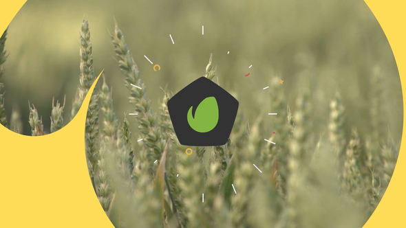 VideoHive 3d Flat Logo Reveal 24821775