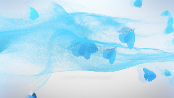 VideoHive Butterfly Logo Reveal 9849389