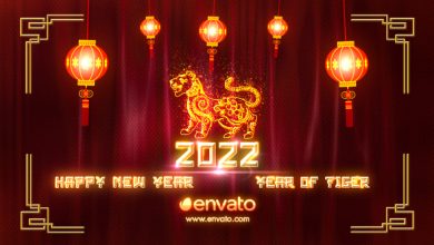 VideoHive Chinese New Year 2022 19251566