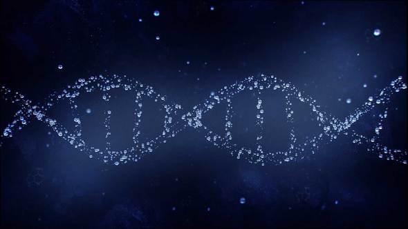 VideoHive DNA Reveal 22745866