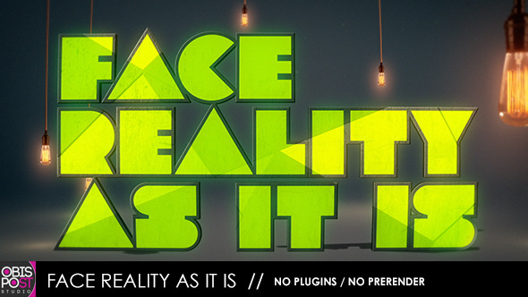 VideoHive Face Reality As It Is 4804149