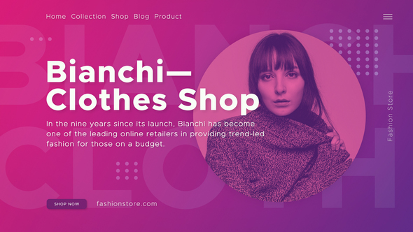 VideoHive Fashion Shop 22880991