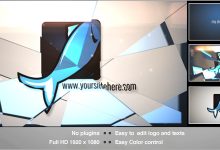 VideoHive Flipping Logo 4068599