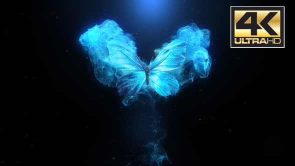 VideoHive Flying Butterfly Logo Reveal 4k 22799595