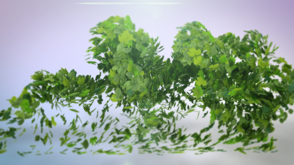 VideoHive Flying Leaves Logo Reveal 19605615