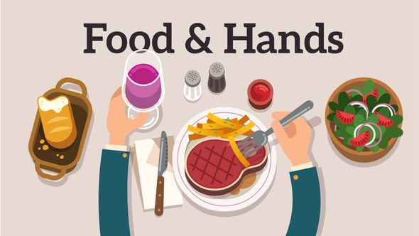 VideoHive Food & Hands Explainer 11101923