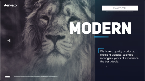 VideoHive For Promo 19530484