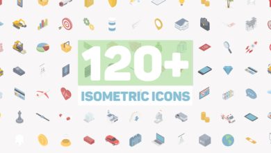 VideoHive Isometric Icons 21410434