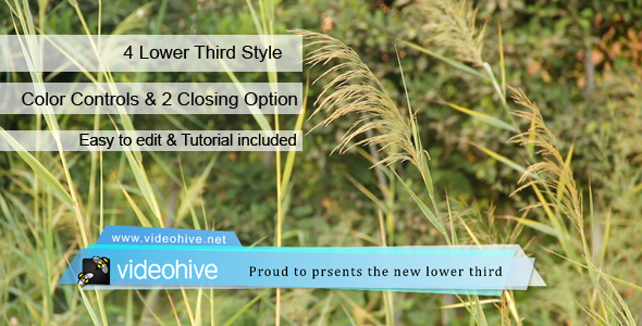 VideoHive Lower Third 5768490
