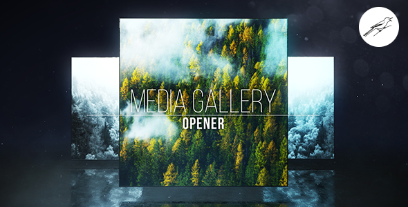 VideoHive Media Gallery Opener 1 19167600