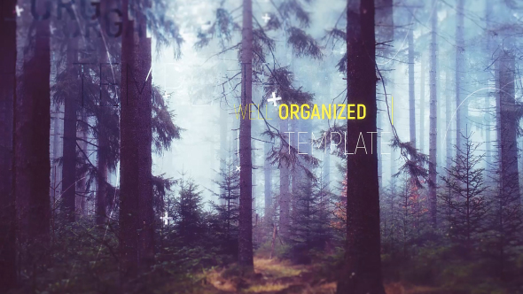 VideoHive Minimal Slides 18604418