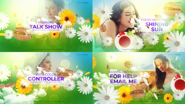 VideoHive Morning Talk Show Opener 27005382