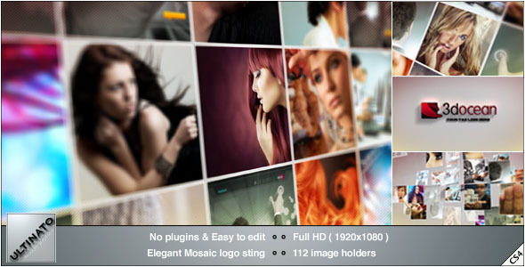 VideoHive Mosaic Logo 2811013