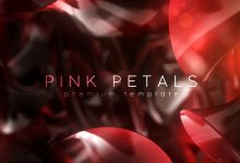 VideoHive Pink Petals 27045313