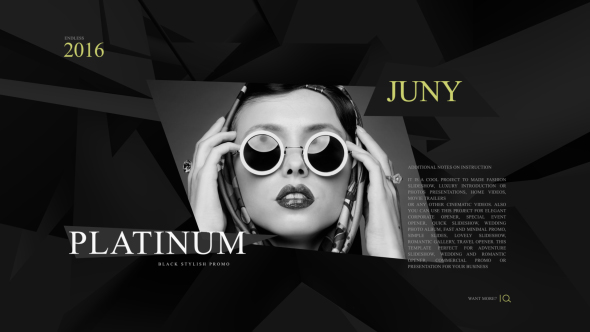 VideoHive Platinum Fashion Promo 16693735