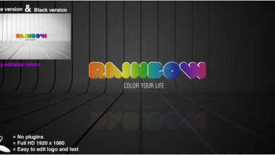 VideoHive Rainbow Logo 5155435