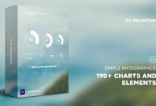 VideoHive Simple Infographics 17968616