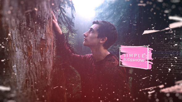 VideoHive Simple Slideshow 19583202