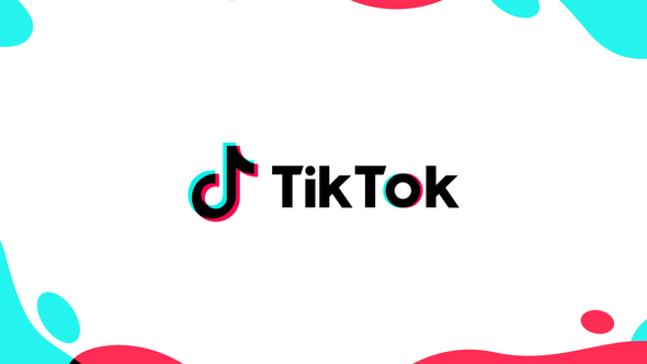 VideoHive TikTok Promo 26654733