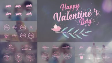 VideoHive Valentine's Day Badge Pack 19334517