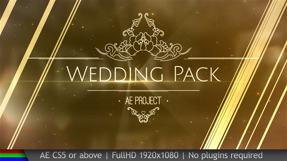 VideoHive Wedding 20038431