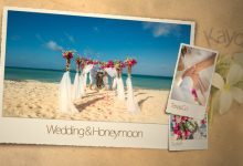 VideoHive Wedding & Honeymoon 3101891