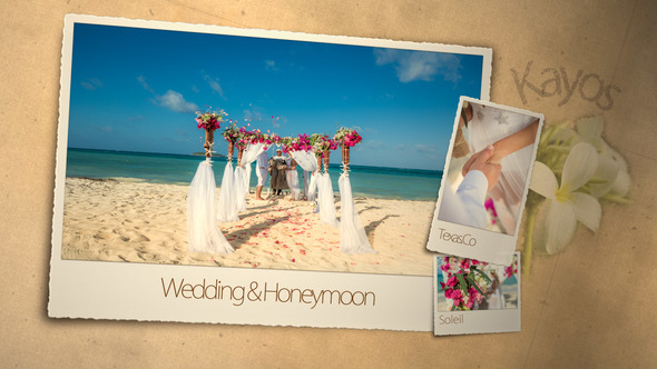 VideoHive Wedding & Honeymoon 3101891