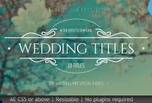 VideoHive Wedding Titles 19995952