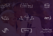 VideoHive Wedding Titles and Lower Thirds 24656288