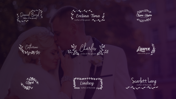 VideoHive Wedding Titles and Lower Thirds 24656288