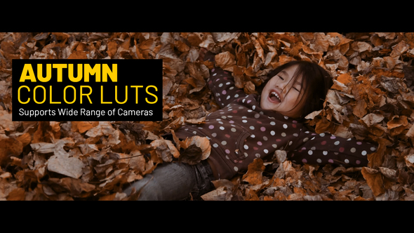 VideoHive Autumn LUTs 38413510