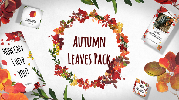 VideoHive Autumn Leaves Pack 29195640