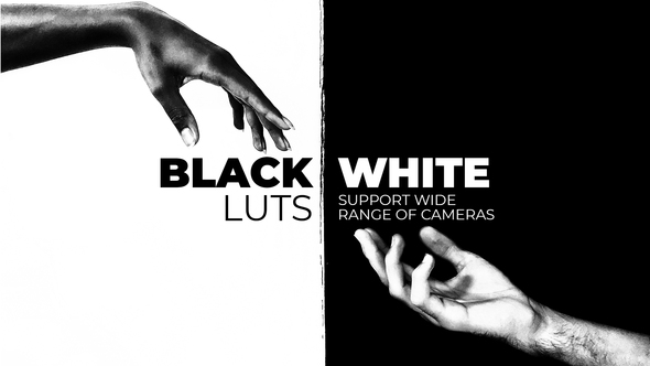 VideoHive Black and White LUTs 38399453