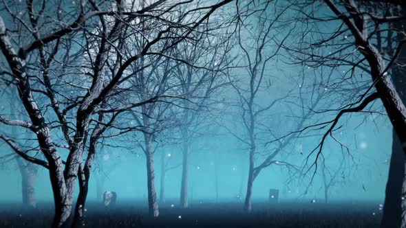 VideoHive Blue Fog Forest 34255995