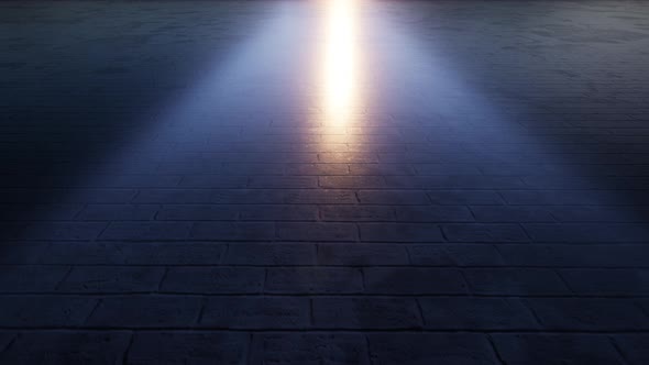VideoHive Camera Movement On A Reflective Floor 34167673
