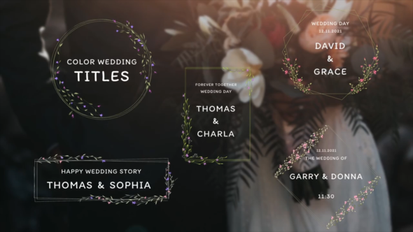 VideoHive Color Wedding Titles 34854288