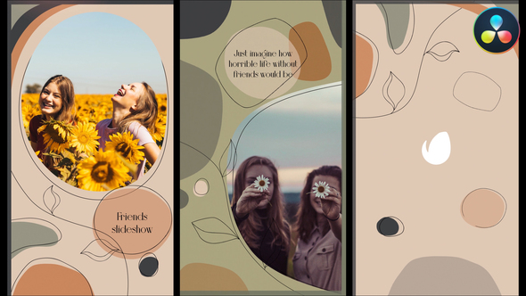 VideoHive Friends Social Media Slideshow for DaVinci Resolve 37779426