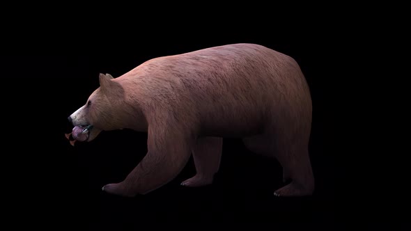 VideoHive Hunted Duck Side Walk 34214905