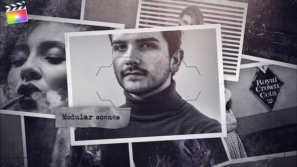 VideoHive Investigation 32572240