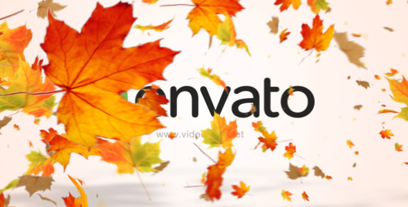 VideoHive Maple Logo Reveal V2 12072636