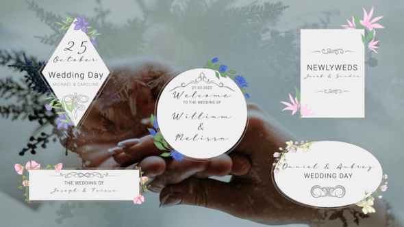 VideoHive New Wedding Titles 35608293