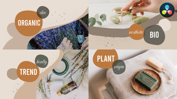 VideoHive Organic Scenes for DaVinci Resolve 37184741