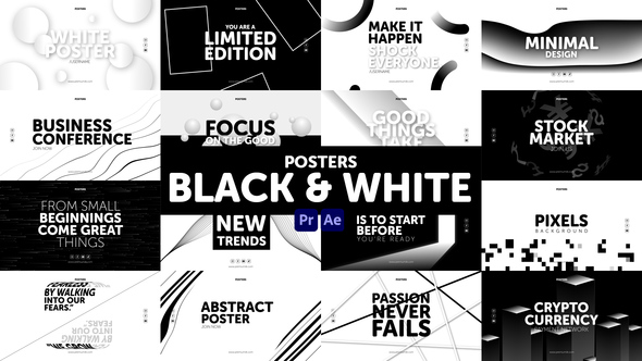 VideoHive Posters Black & White 31027999