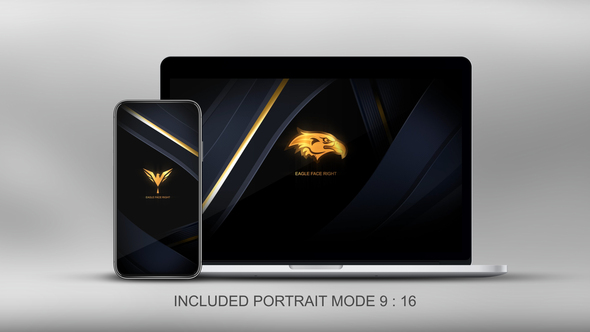 VideoHive Quick Elegant Luxury Logo 25800997