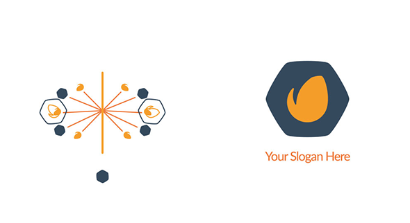 VideoHive RD Simple Logo Reveal 4 20308160