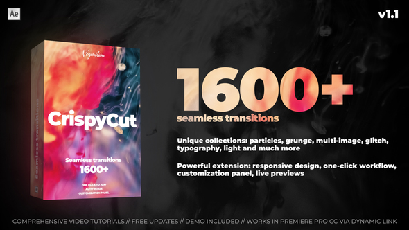 VideoHive Transitions 26829624